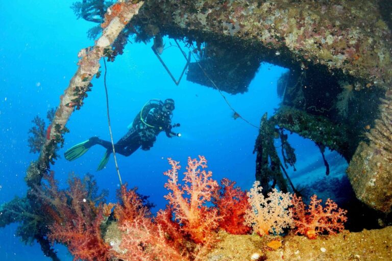 0006046_zloj-duh-abu