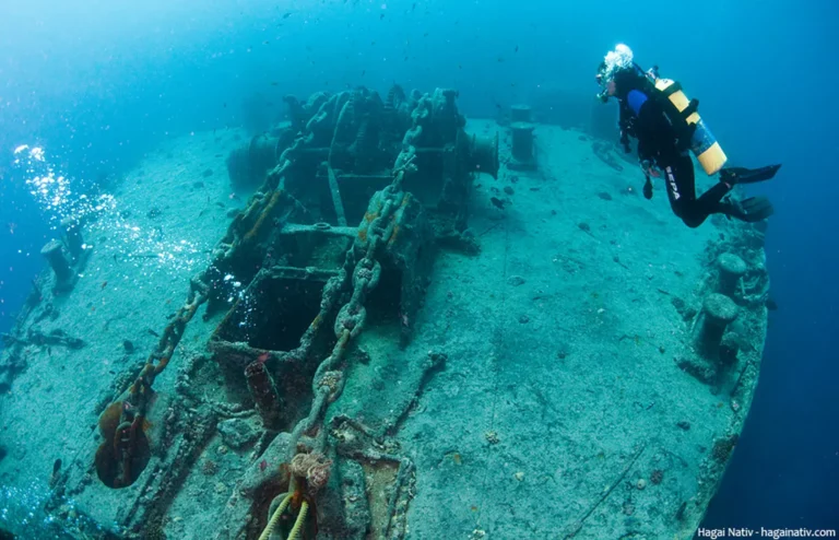 5dq1vp1g_ss-thistlegorm_625x300_17_June_25